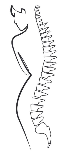 Fizjoterapia Symetria